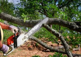 Best Lot and Land Clearing  in Chattahoochee, FL